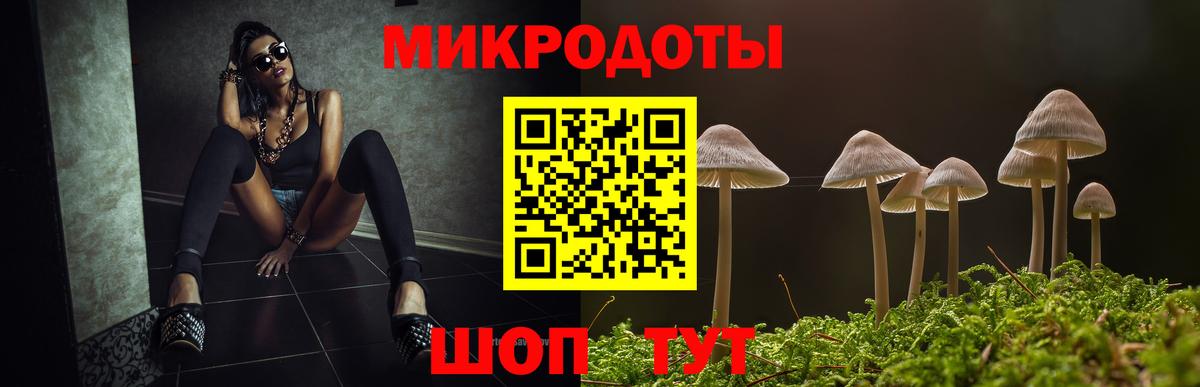 Псилоцибиновые грибы Cubensis  Галлюциногенные грибы прущие грибы  Красногорск  Вход с VPN 
